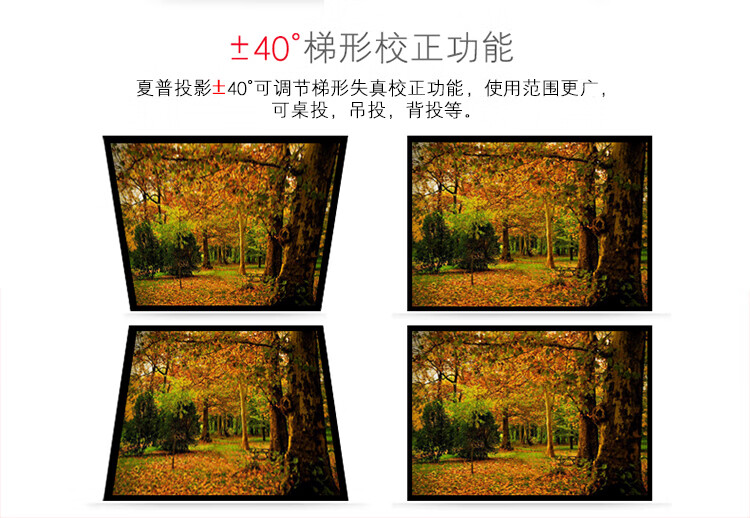 2e7121d442fa7ab4.jpg
