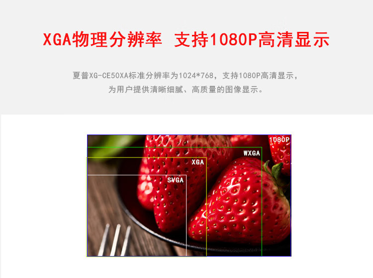 d1f35c009a58cbb5.jpg